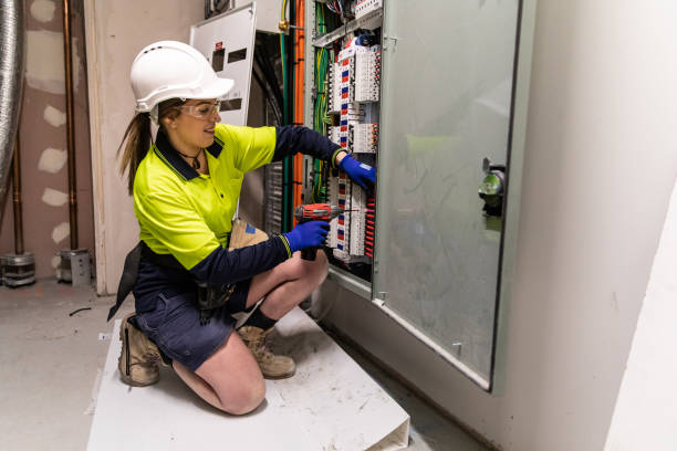 Best Electric Panel Repair  in Seffner, FL